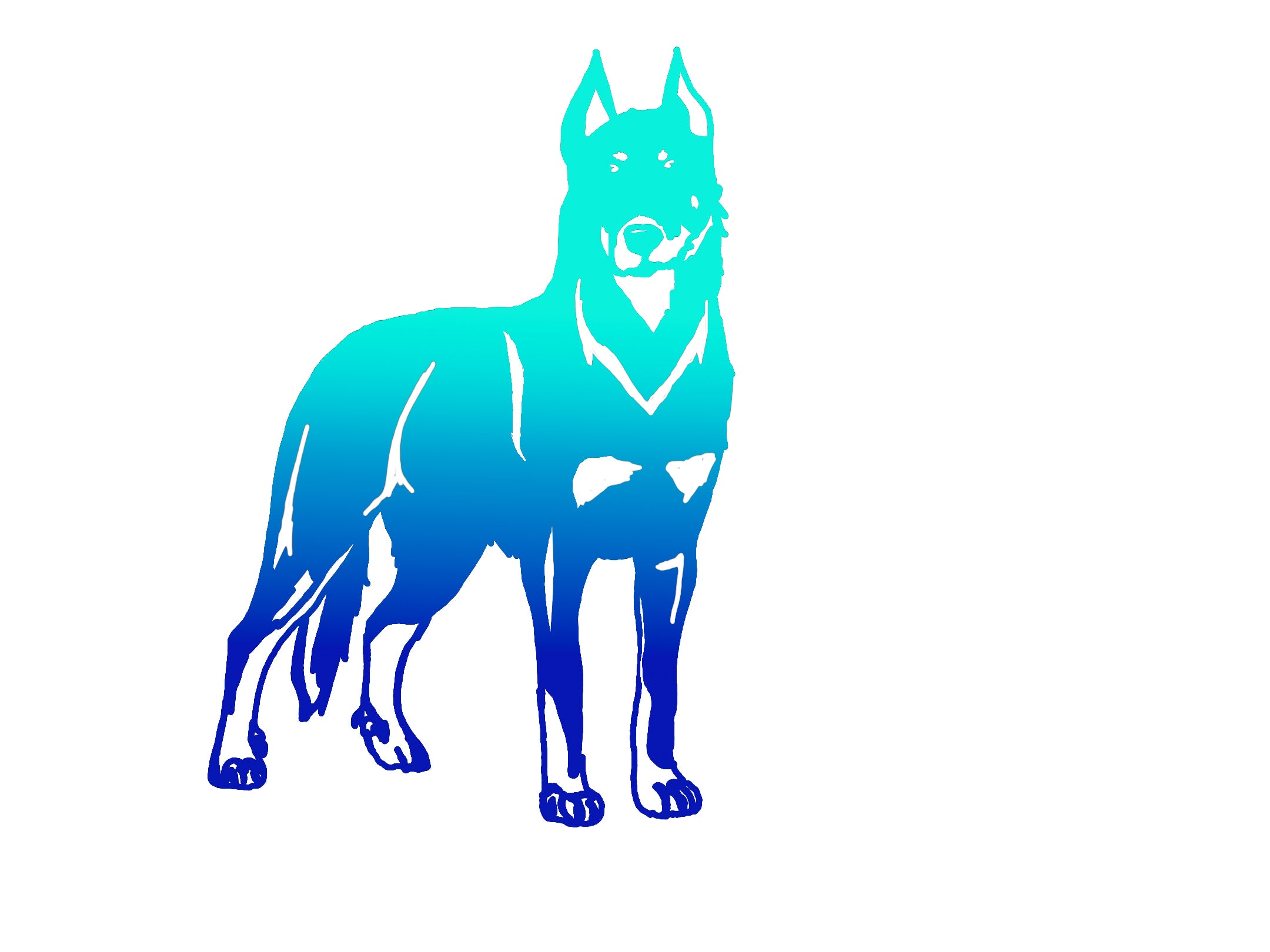 Beauceron Ombre Decal