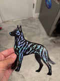Dutch Shepherd Magnet