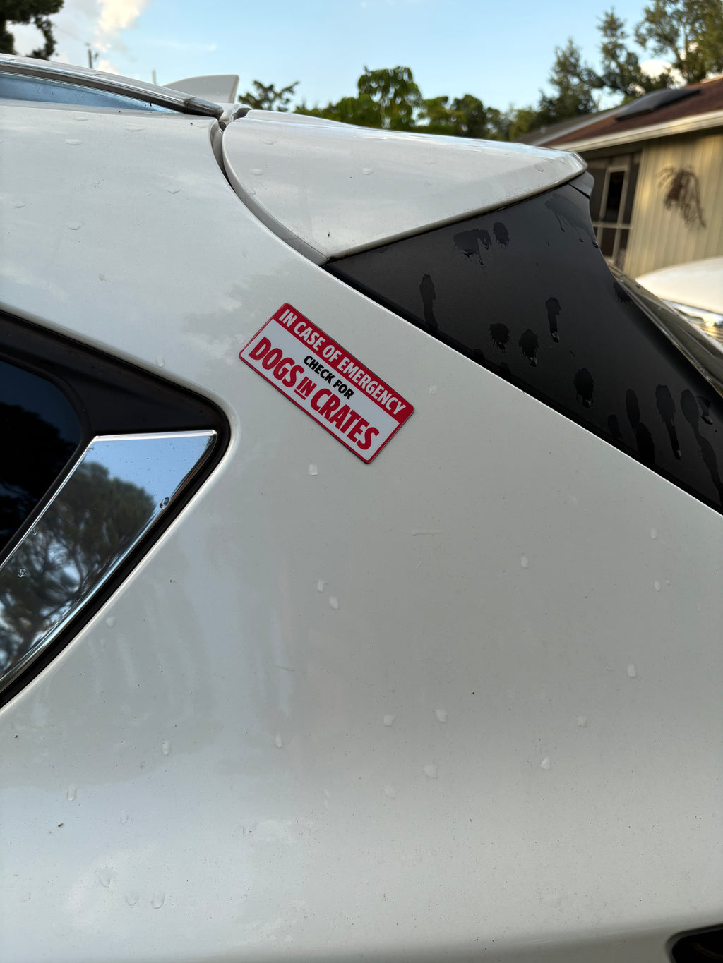 Emergency Pet Alert Magnet or Decal