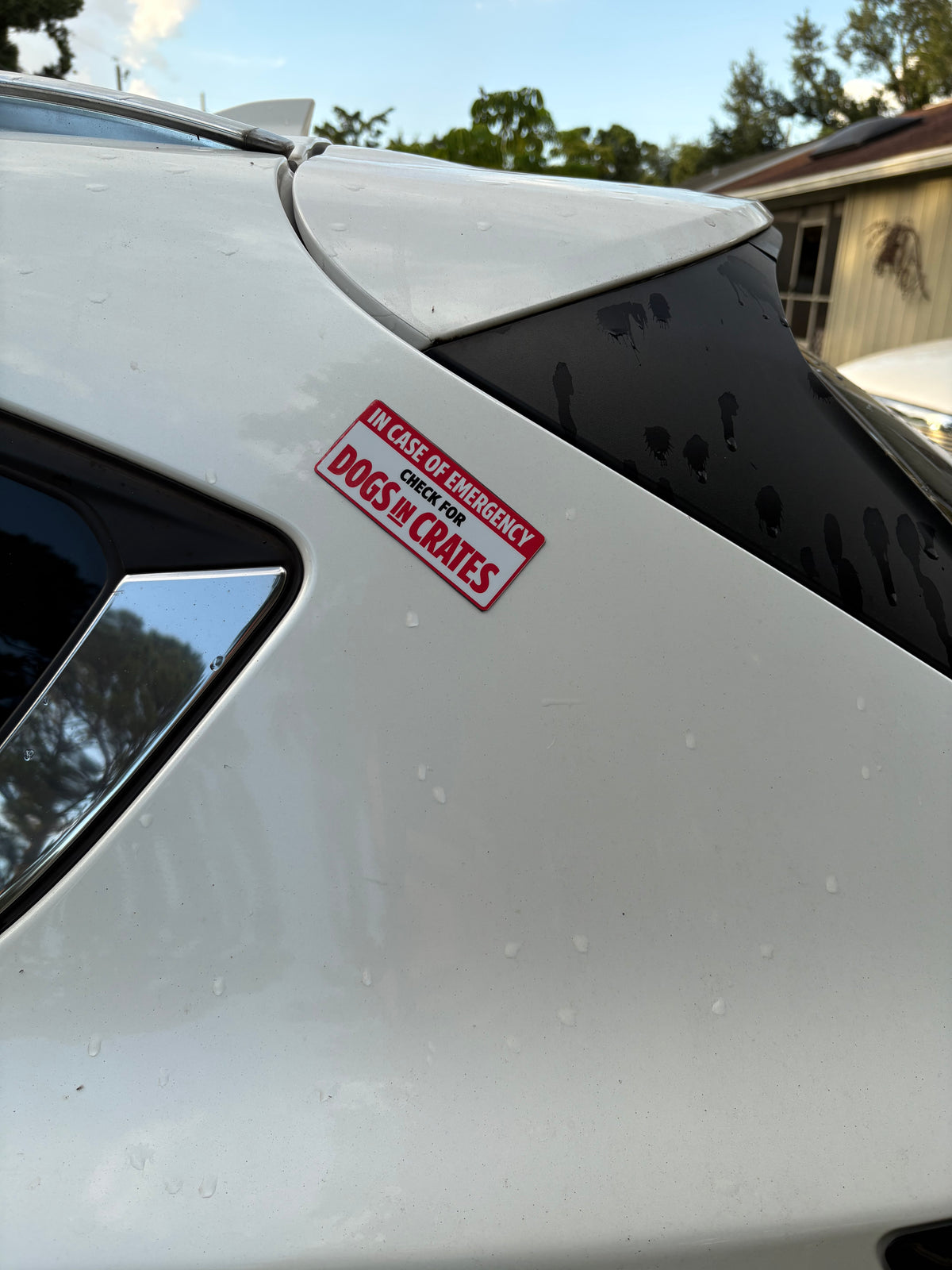 Emergency Pet Alert Magnet or Decal