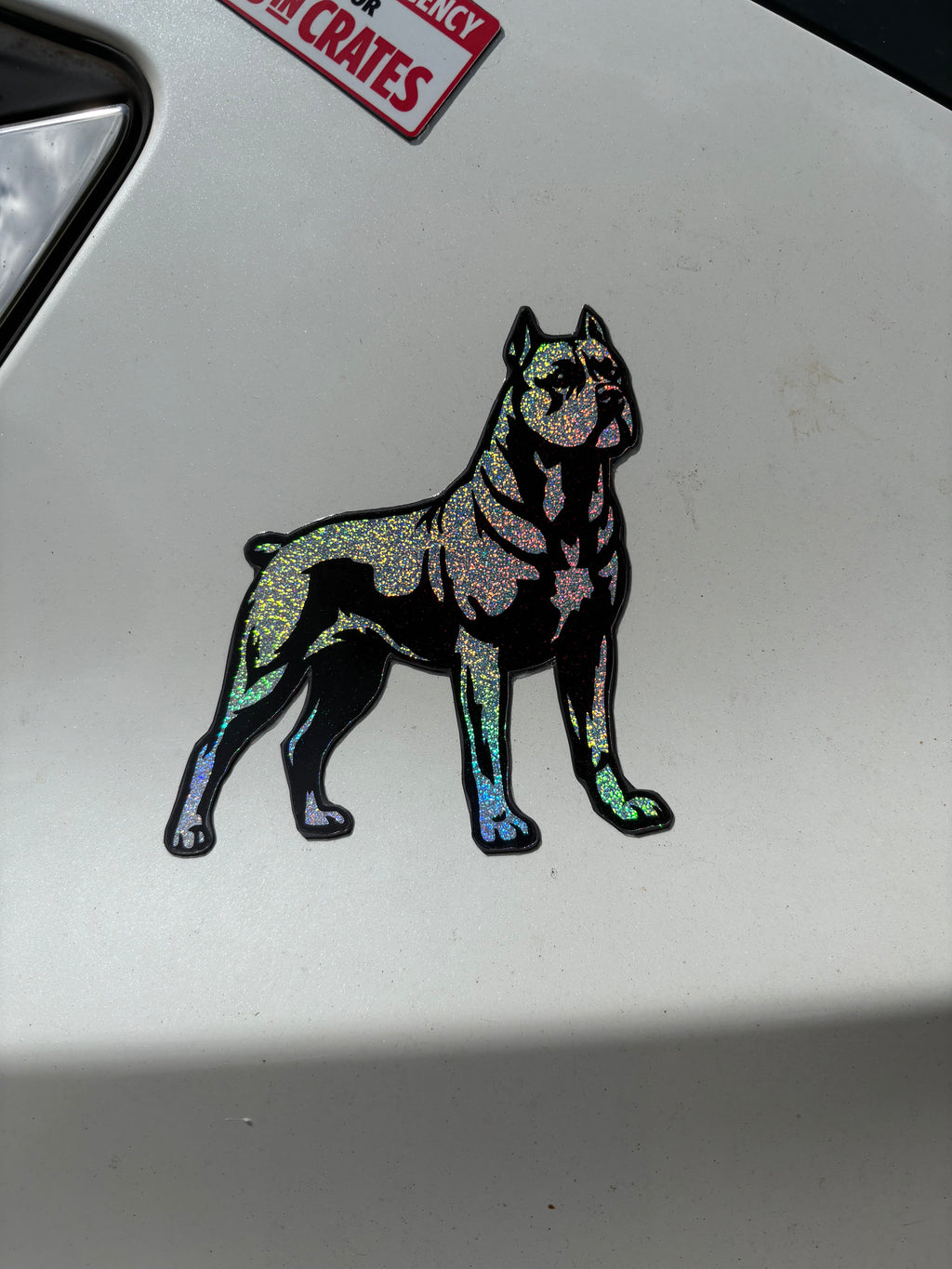 Cane Corso Magnet