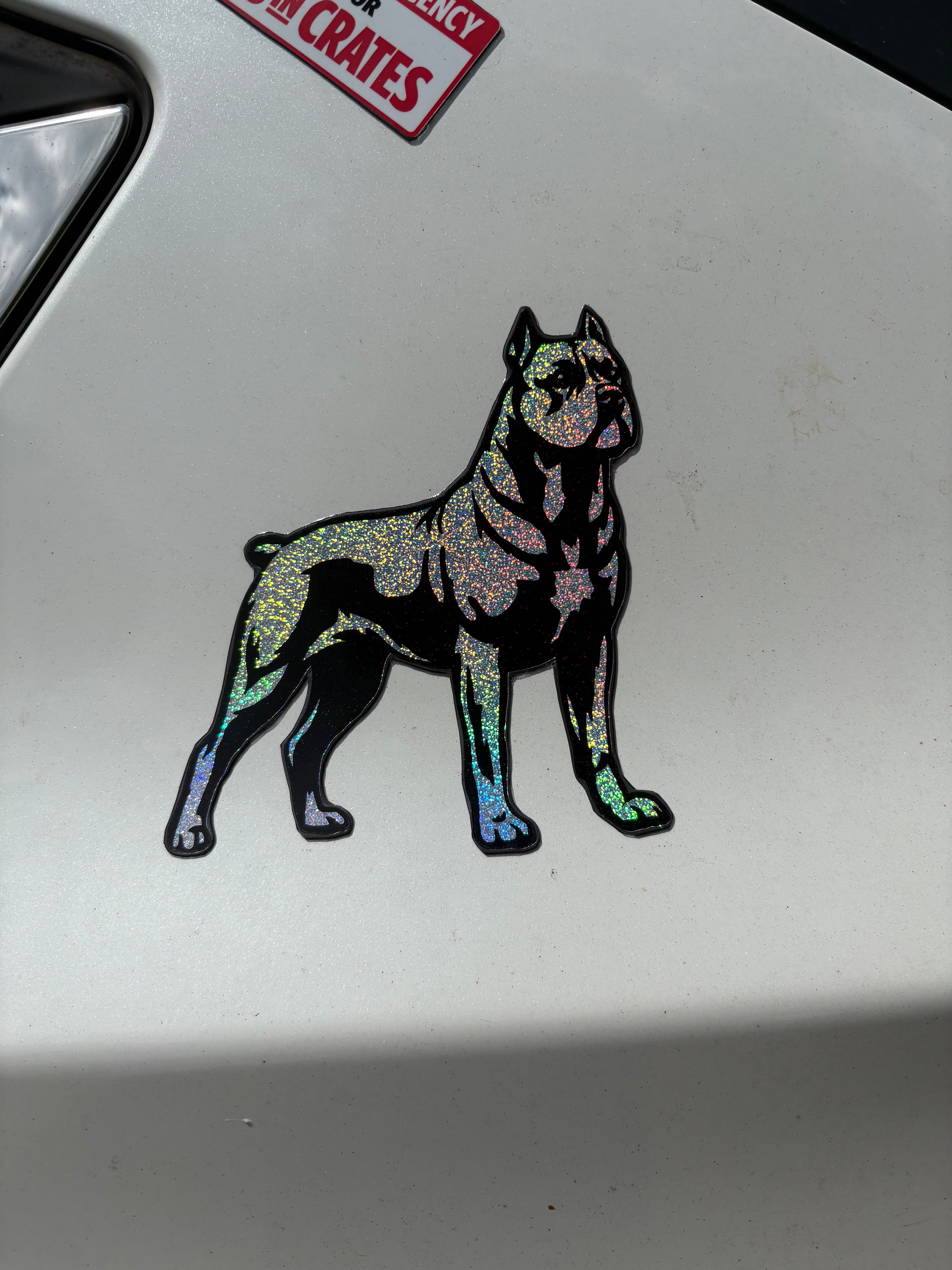 Cane Corso Magnet