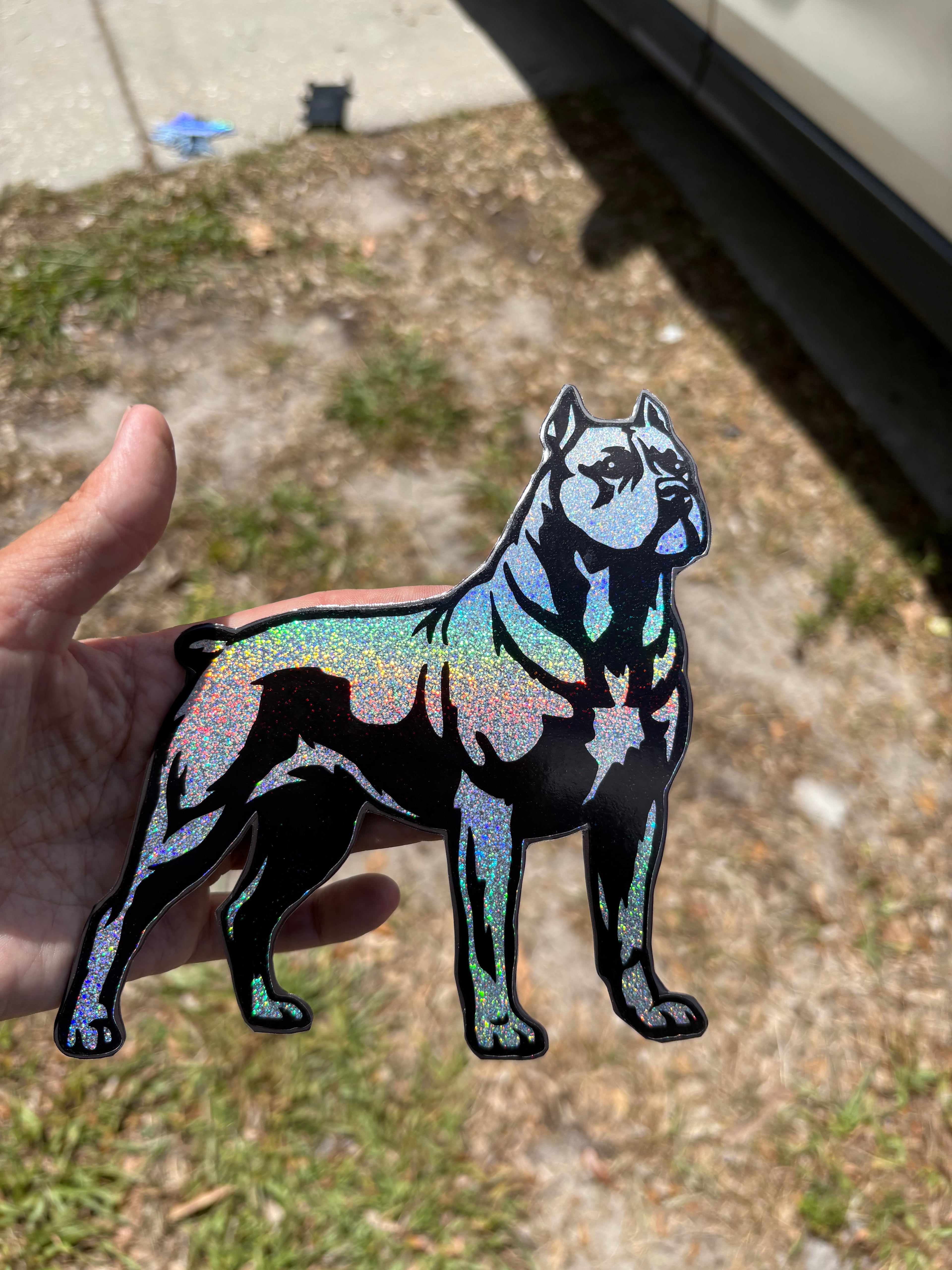 Cane Corso Magnet