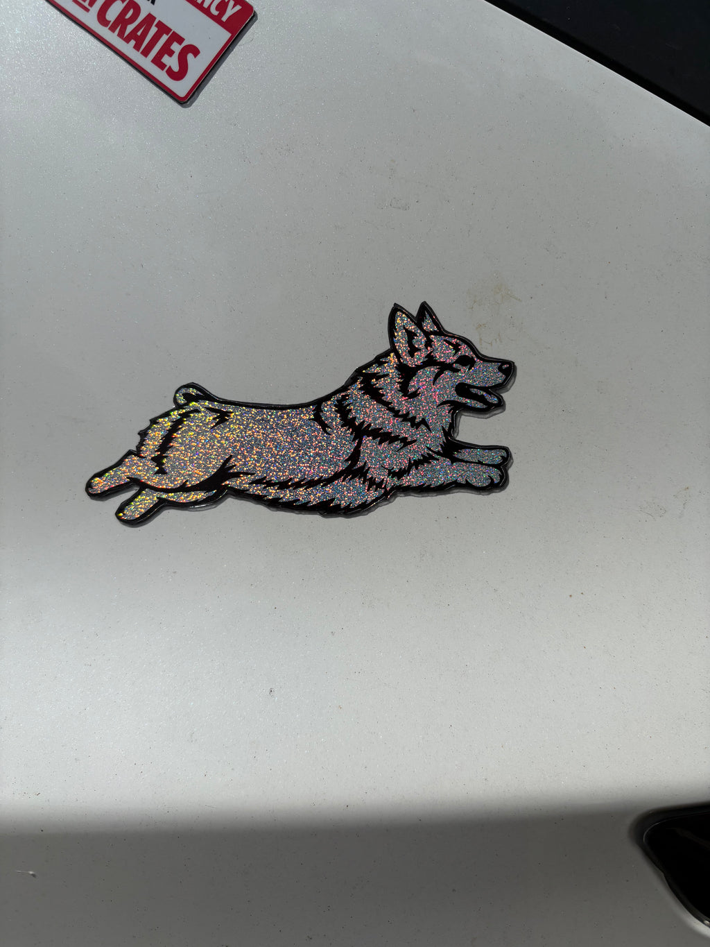 Pembroke Welsh Corgi Magnet