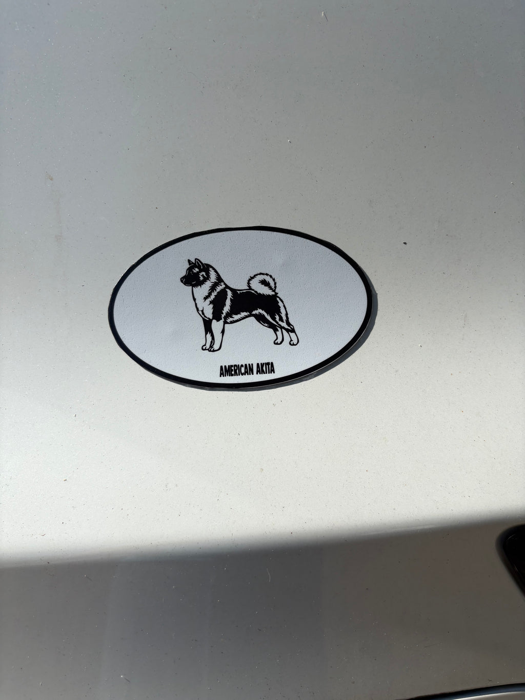 Akita Oval Magnet