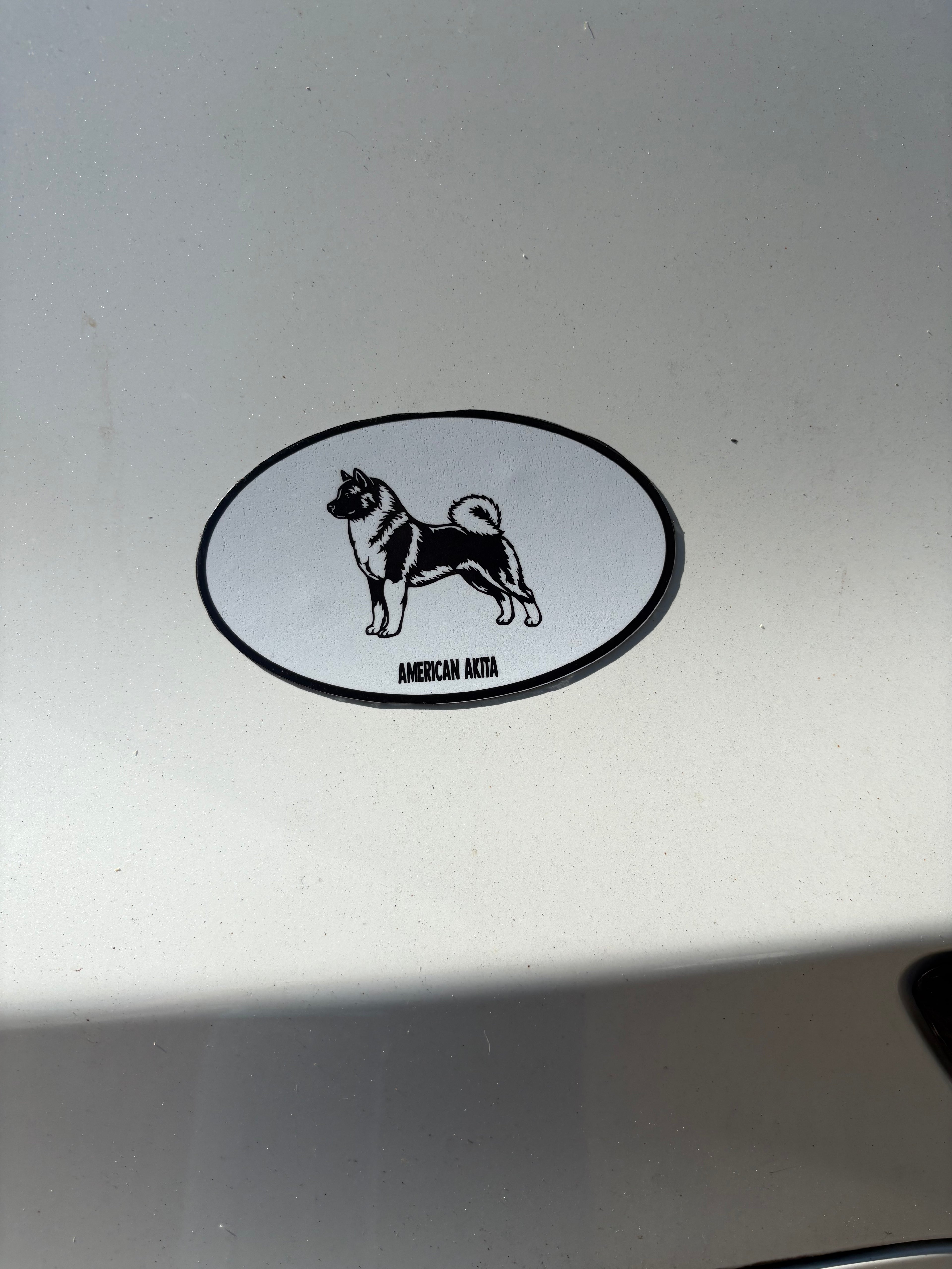 Akita Oval Magnet
