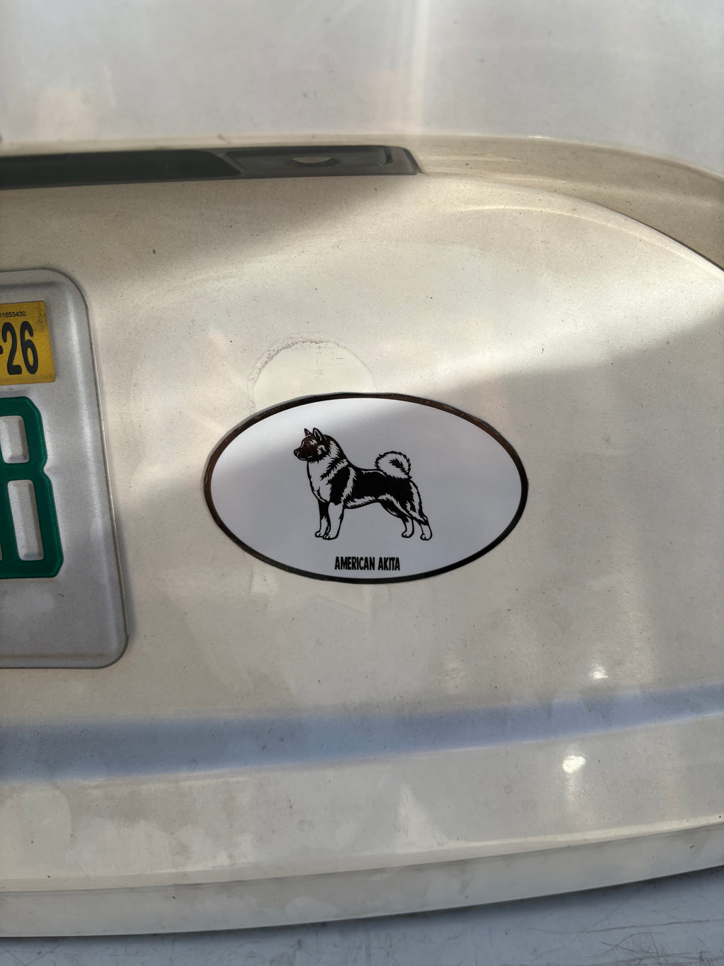 Akita Oval Magnet