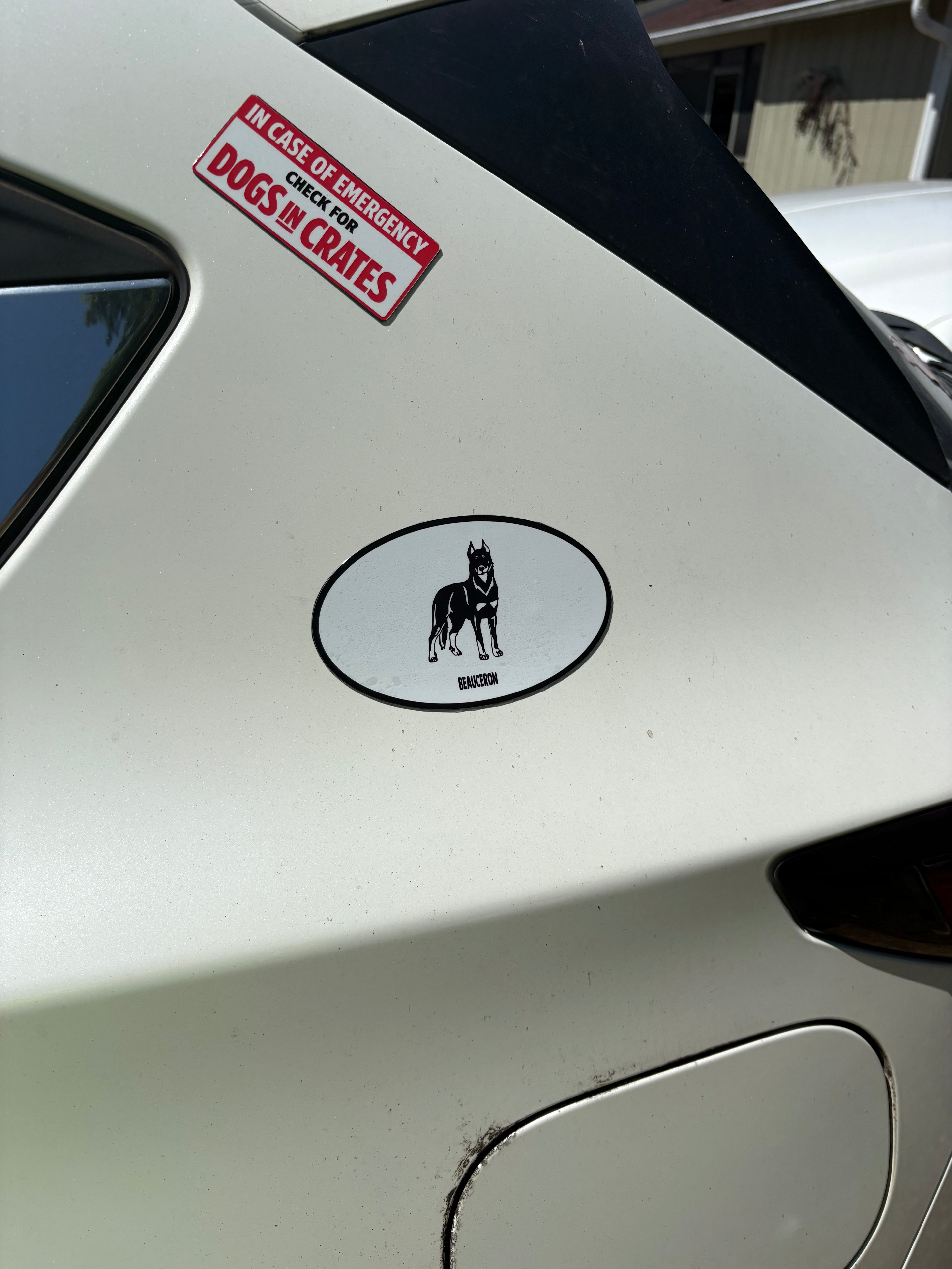Beauceron Magnet