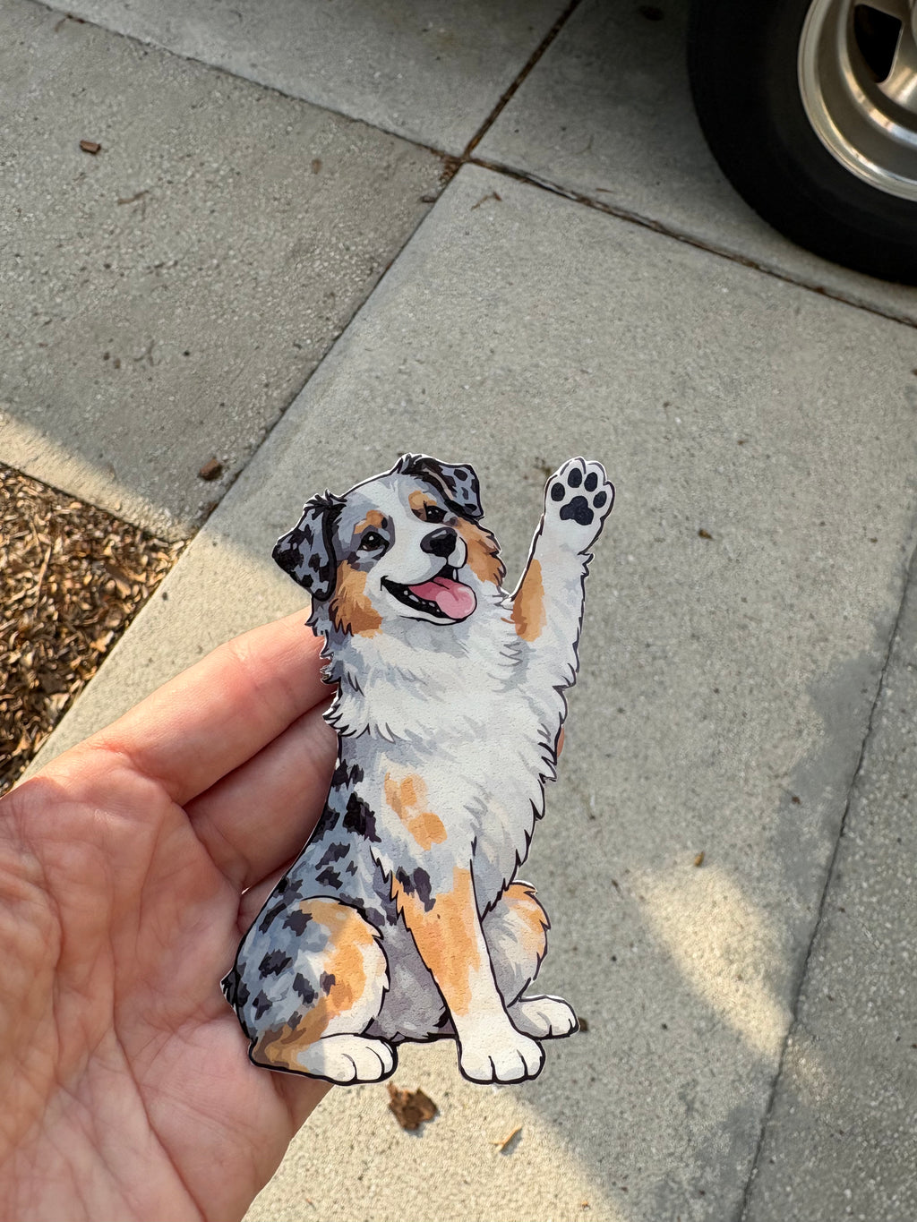 Cute Australian Shepherd Magnet
