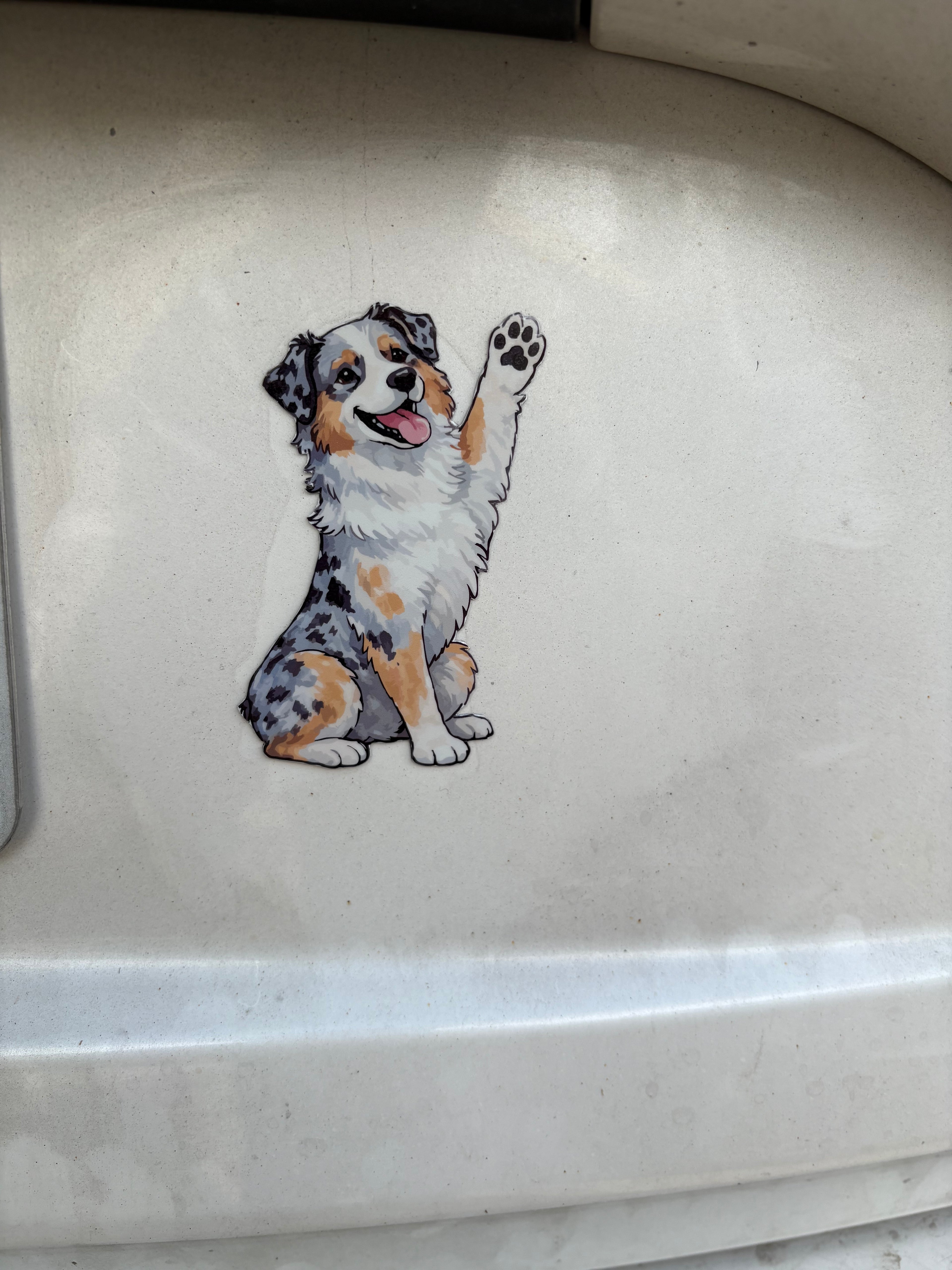 Australian Shepherd Magnet