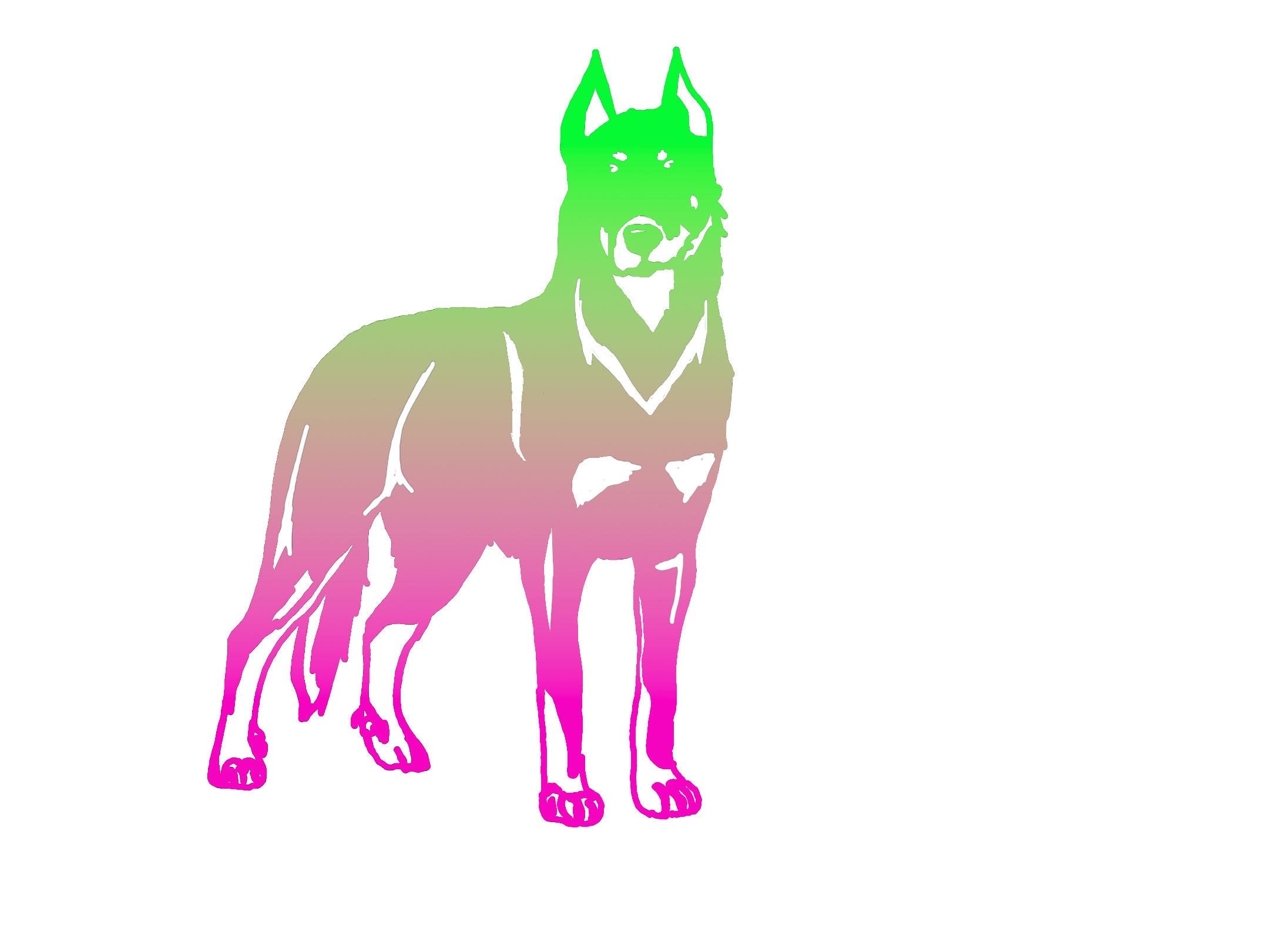 Beauceron Ombre Decal