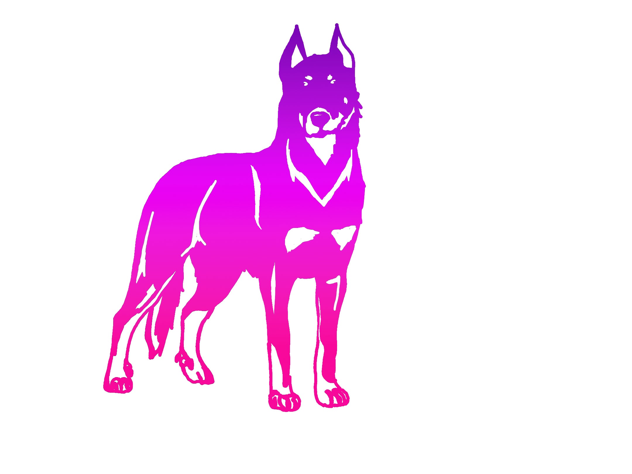 Beauceron Ombre Decal
