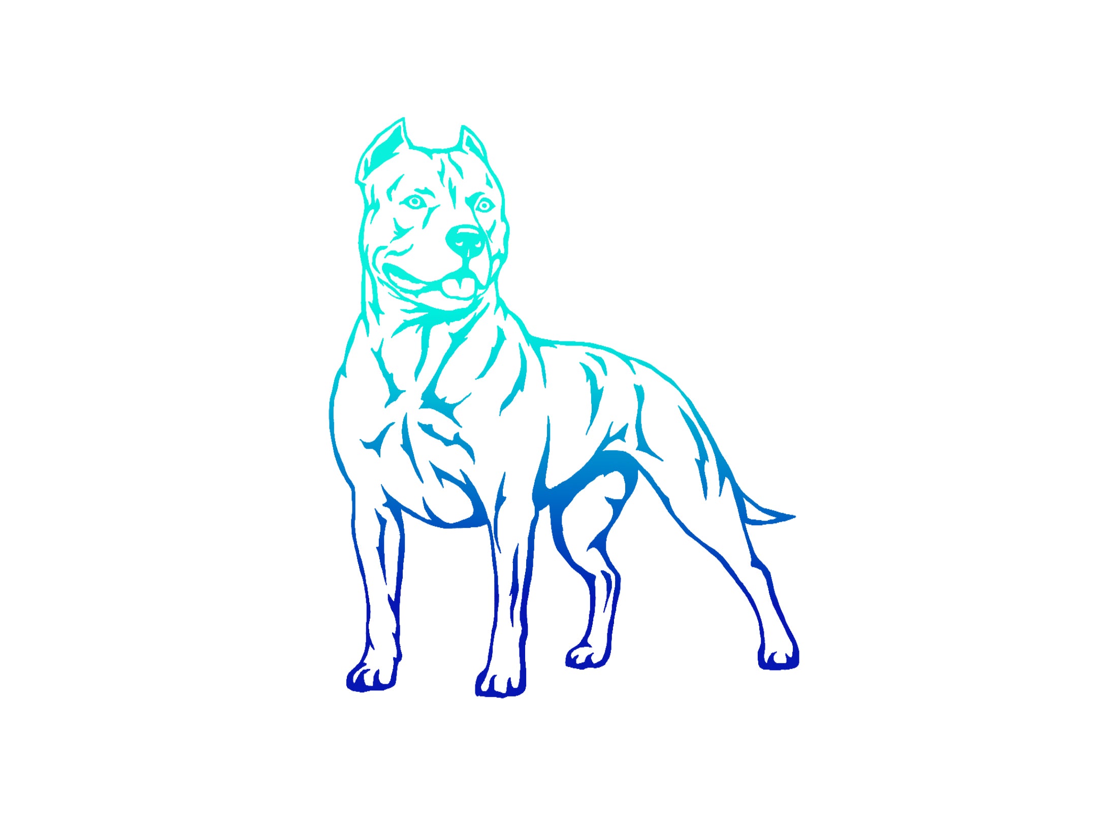 American Bully Decal