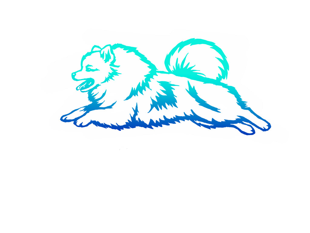 Pomeranian Agility Decal