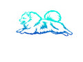 Pomeranian Agility Decal