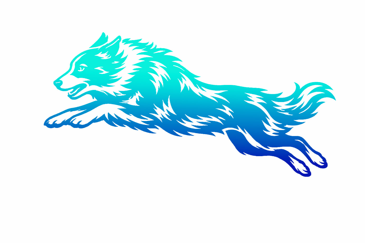 Border Collie Agility Decal