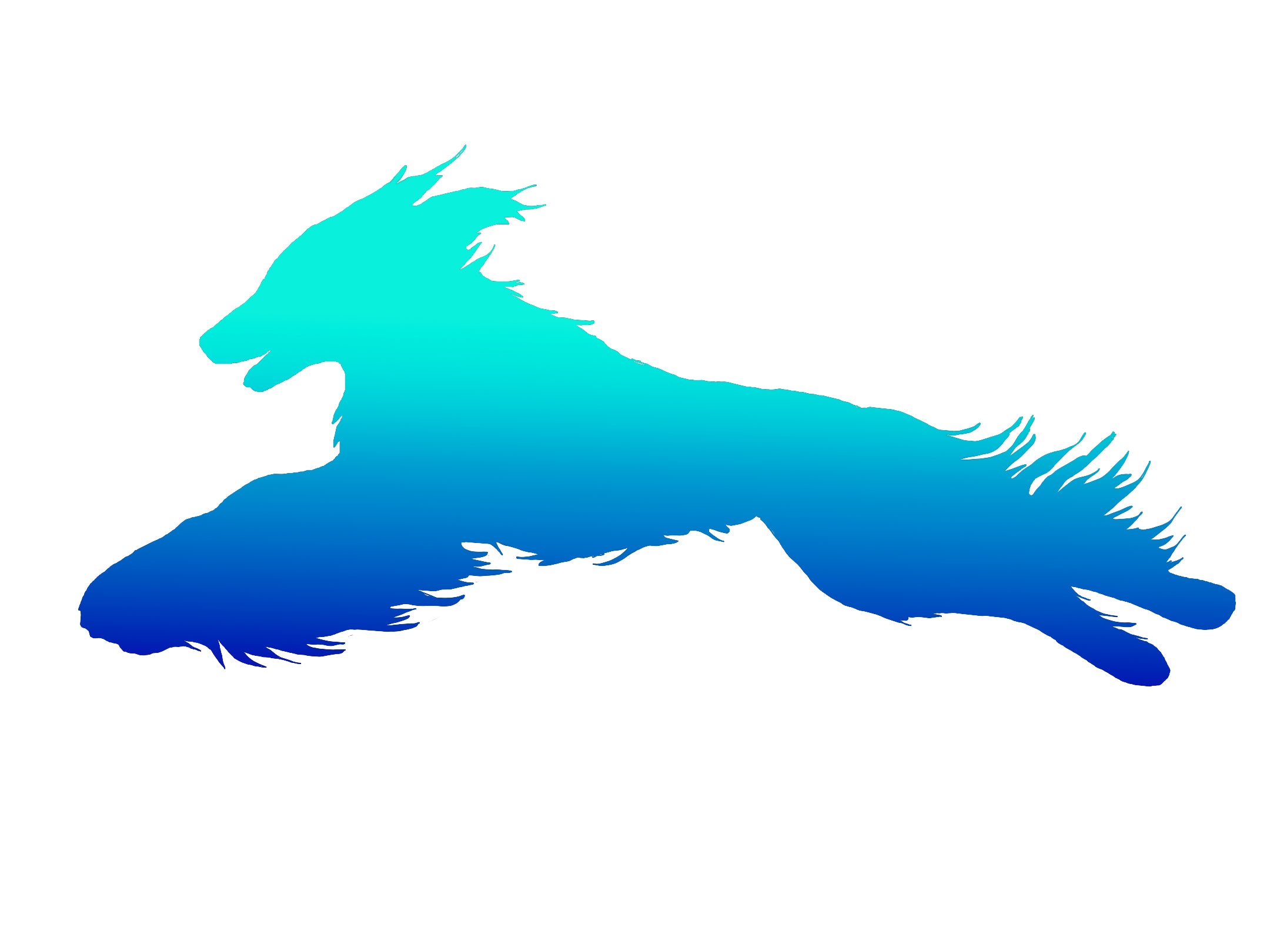 Afghan Hound Lure Coursing Decal