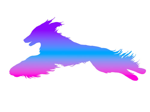 Afghan Hound Lure Coursing Decal
