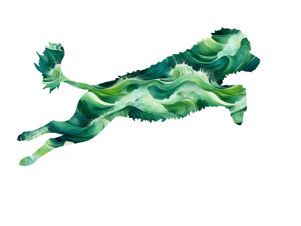 Portuguese Water Dog Decal - Dock Diving