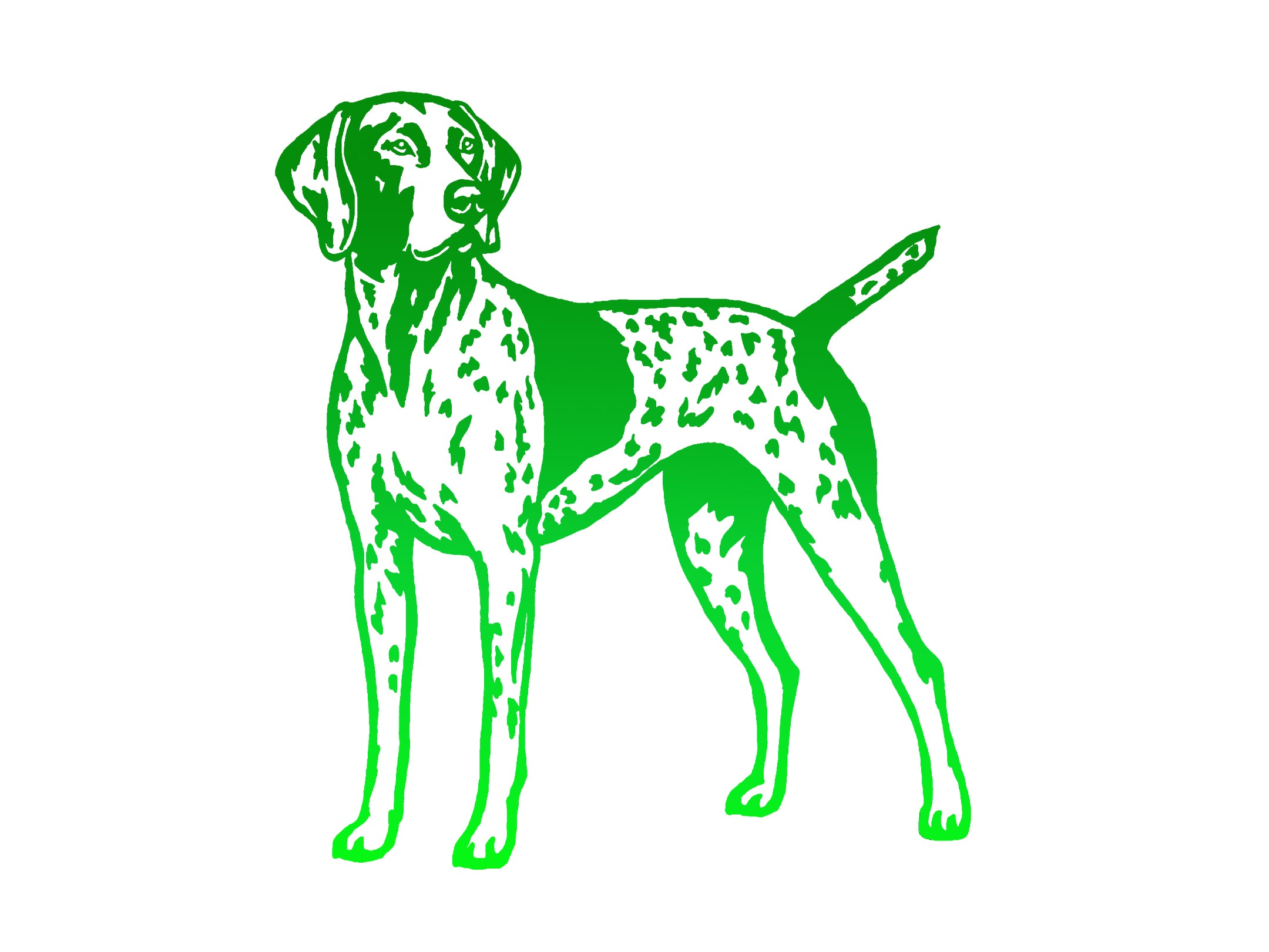 German Shorthaired Pointer Decal