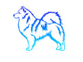 Icelandic Sheepdog Decal