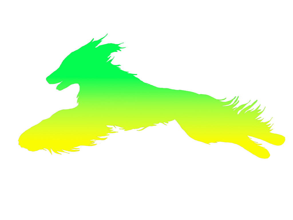 Afghan Hound Lure Coursing Decal