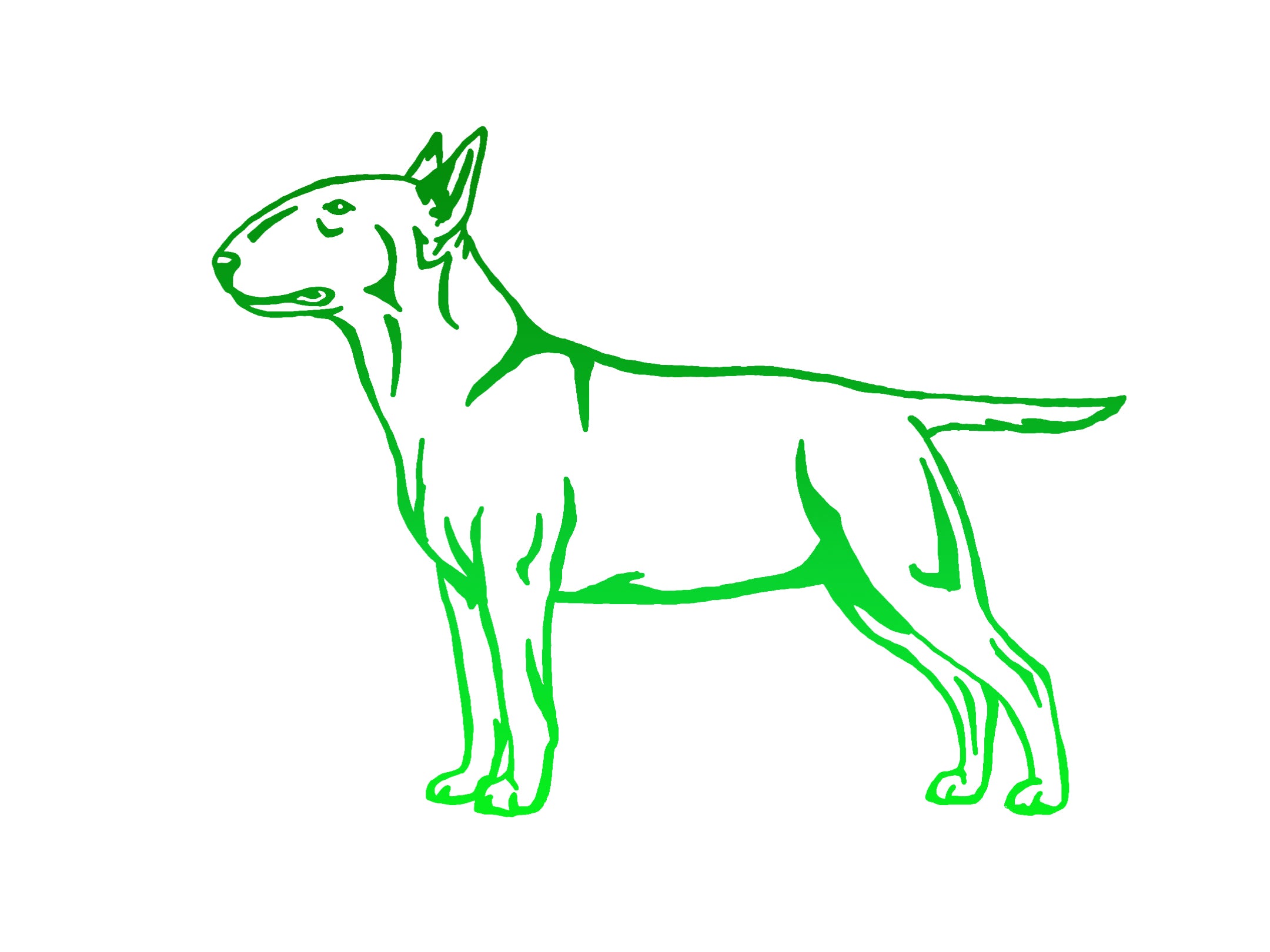 Bull Terrier Decal