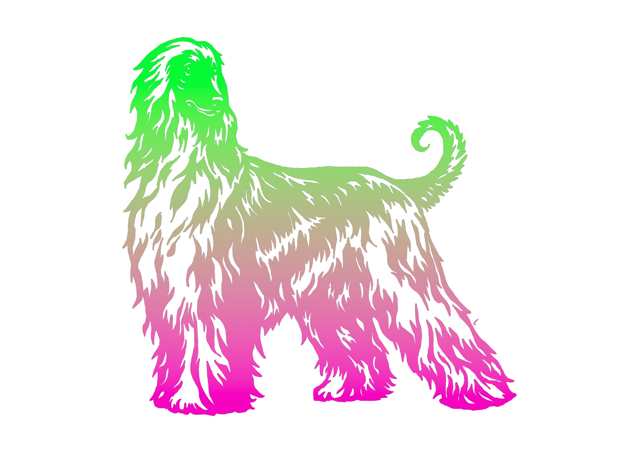 Afghan Hound Ombre Decal