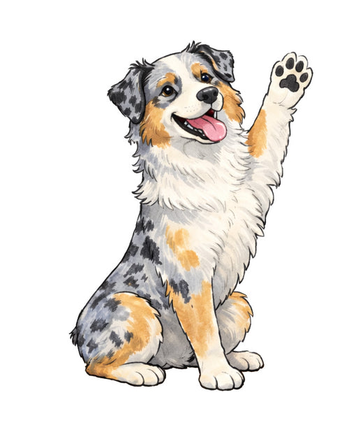 Australian Shepherd Magnet