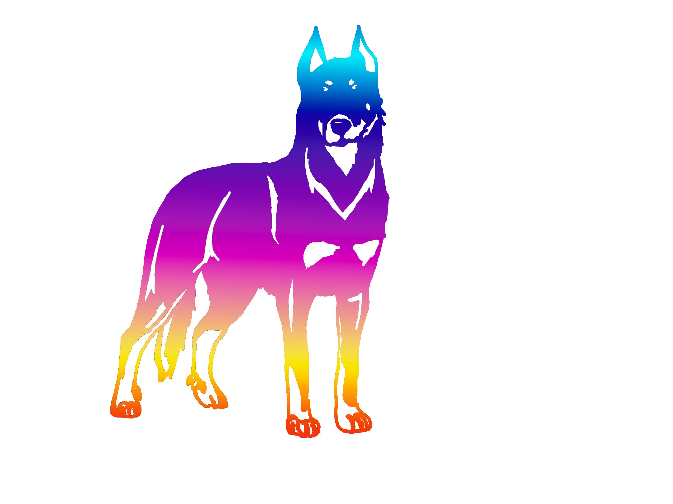 Beauceron Ombre Decal