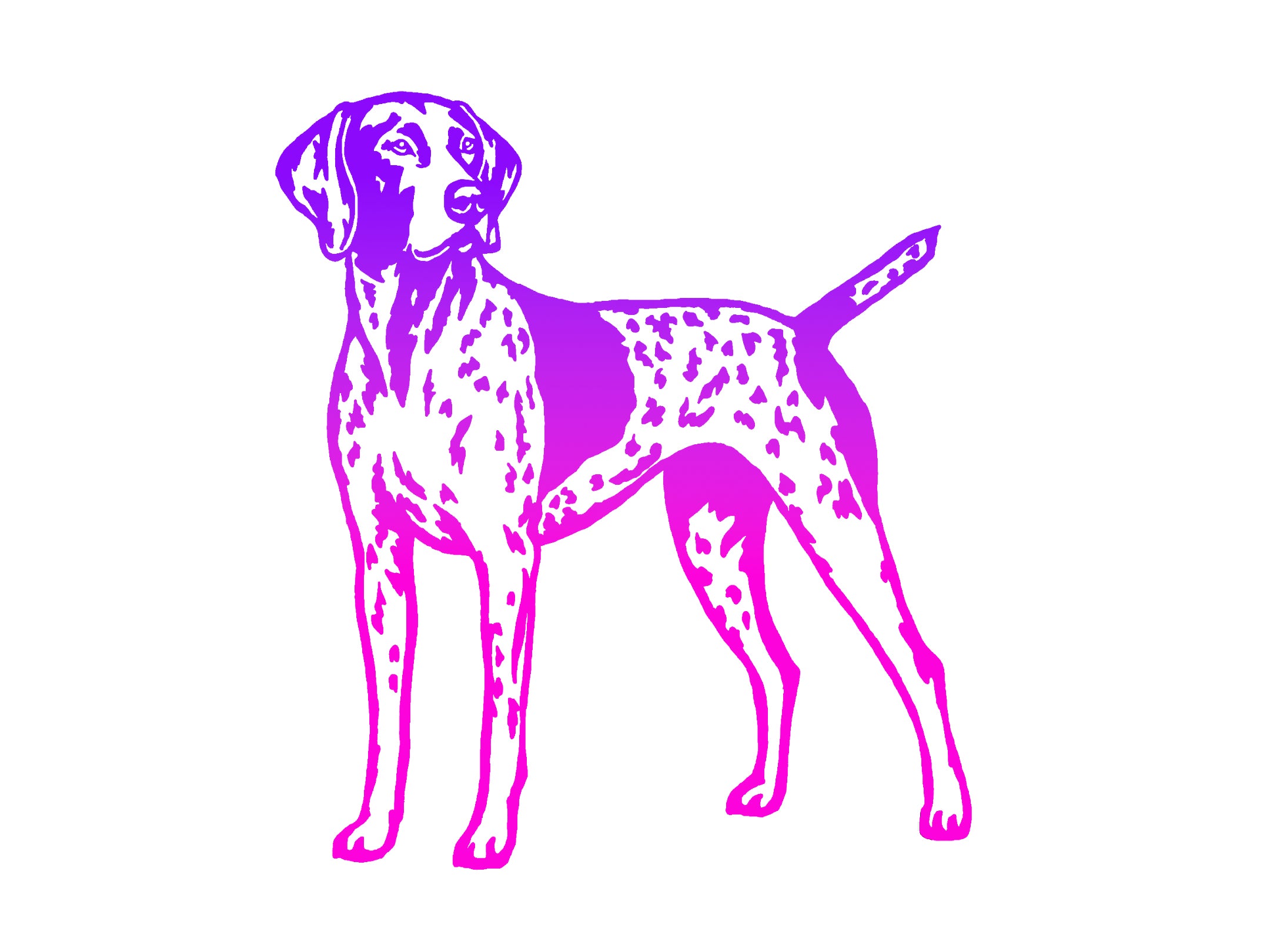German Shorthaired Pointer Decal