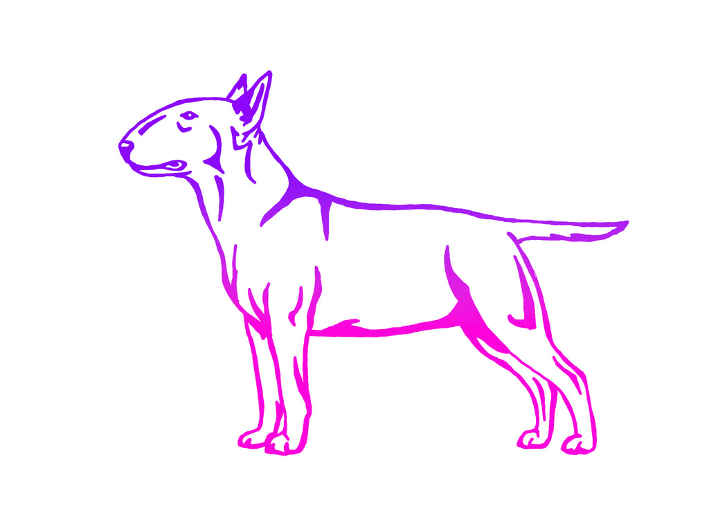 Bull Terrier Decal