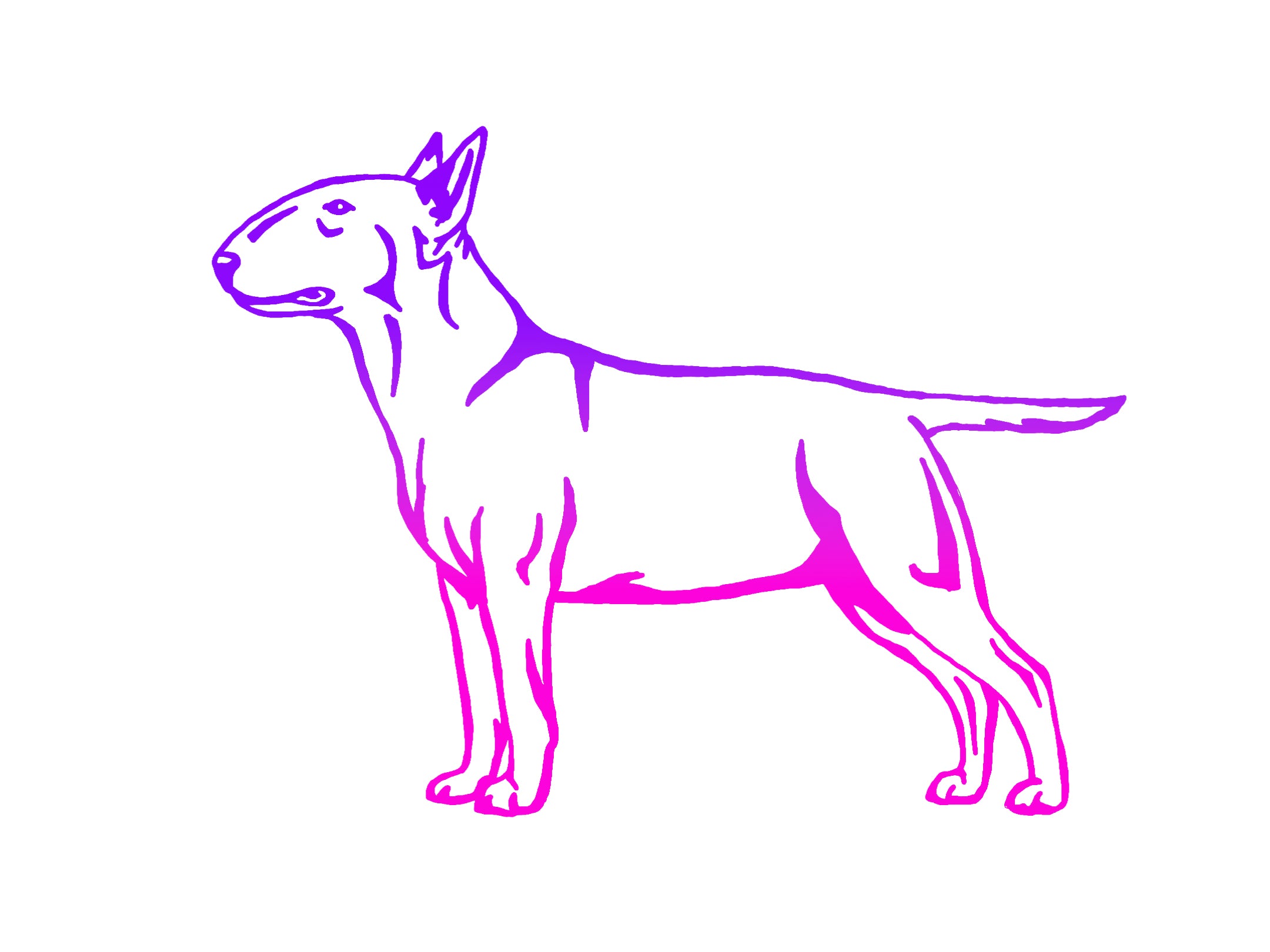 Bull Terrier Decal