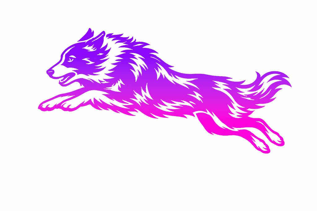 Border Collie Agility Decal