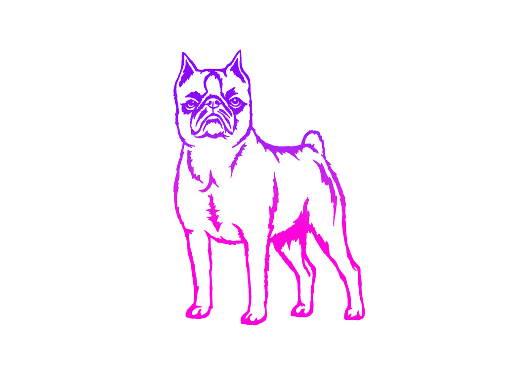 Brussels Griffon Decal