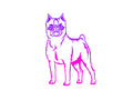 Brussels Griffon Decal