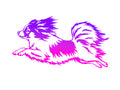 Papillon Decal