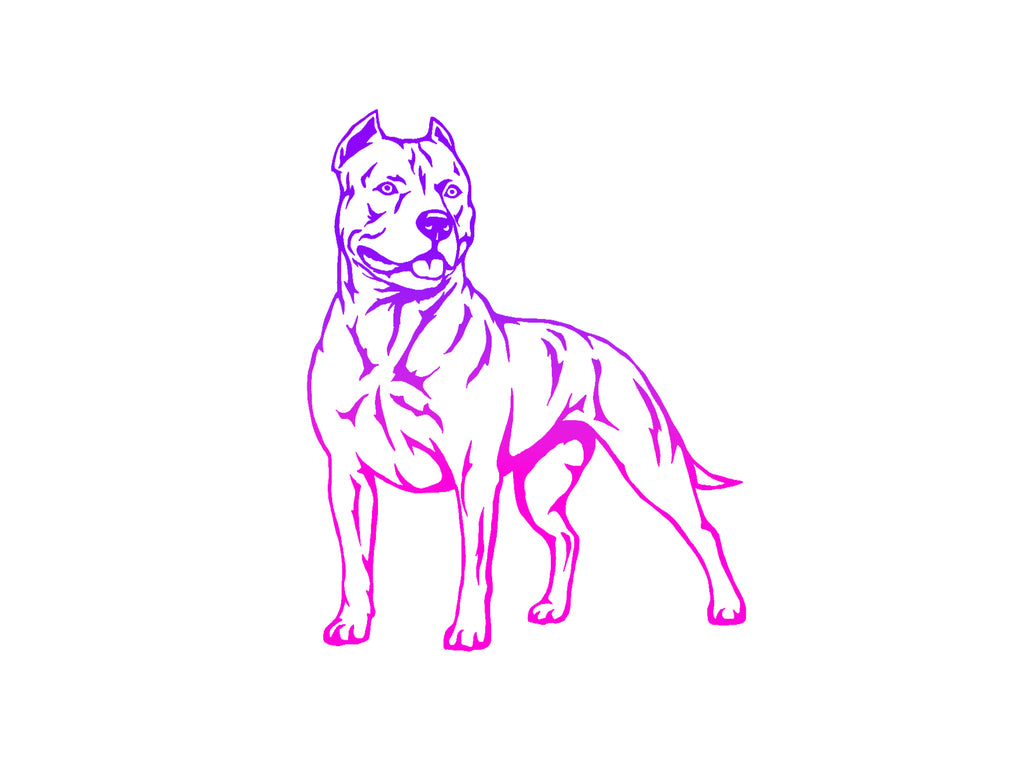 American Bully Decal