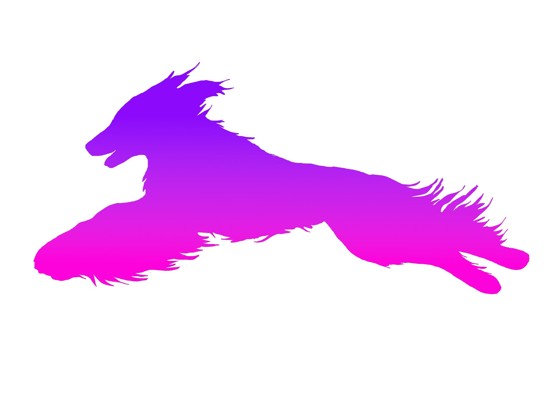 Afghan Hound Lure Coursing Decal