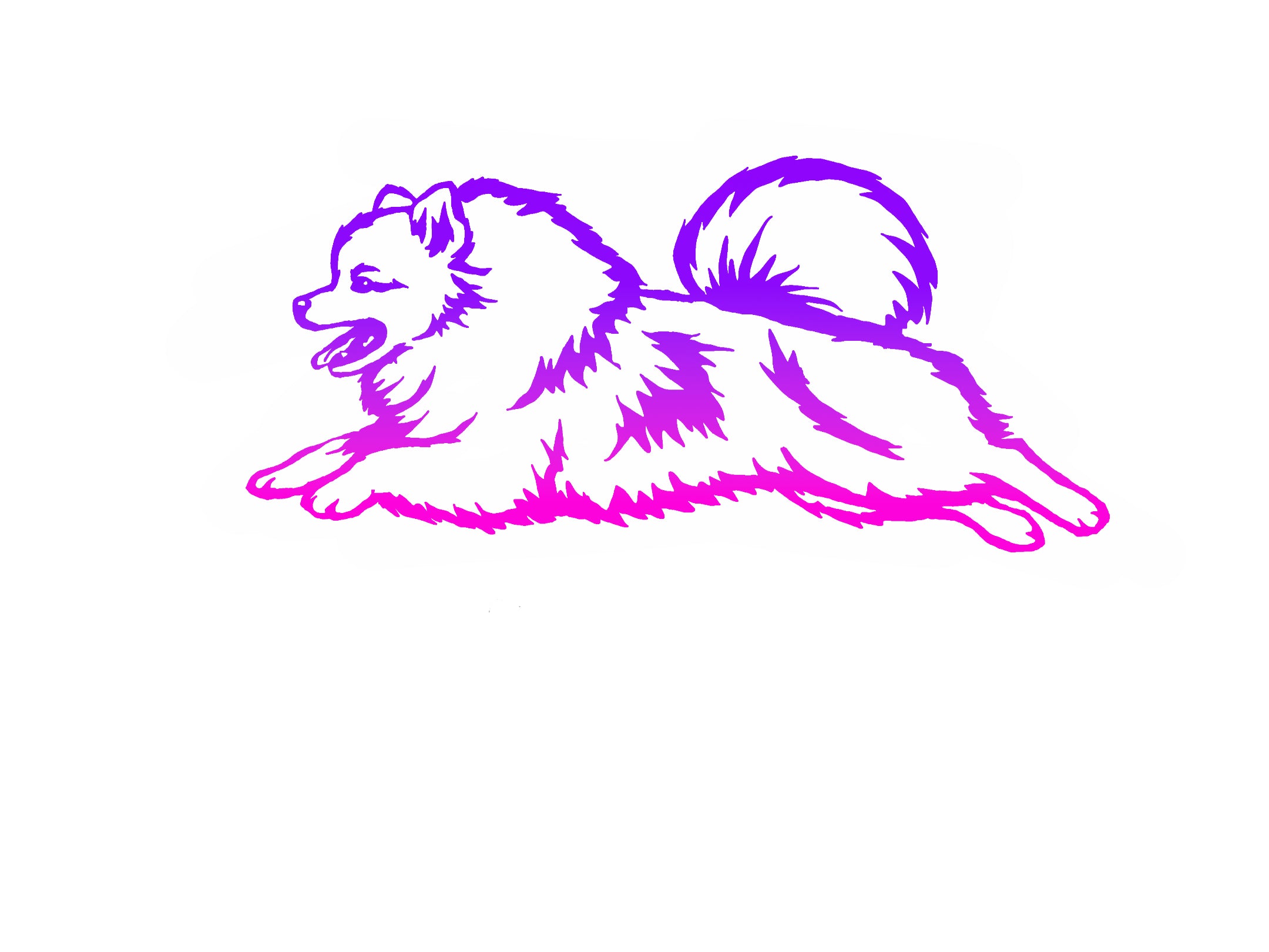 Pomeranian Agility Decal