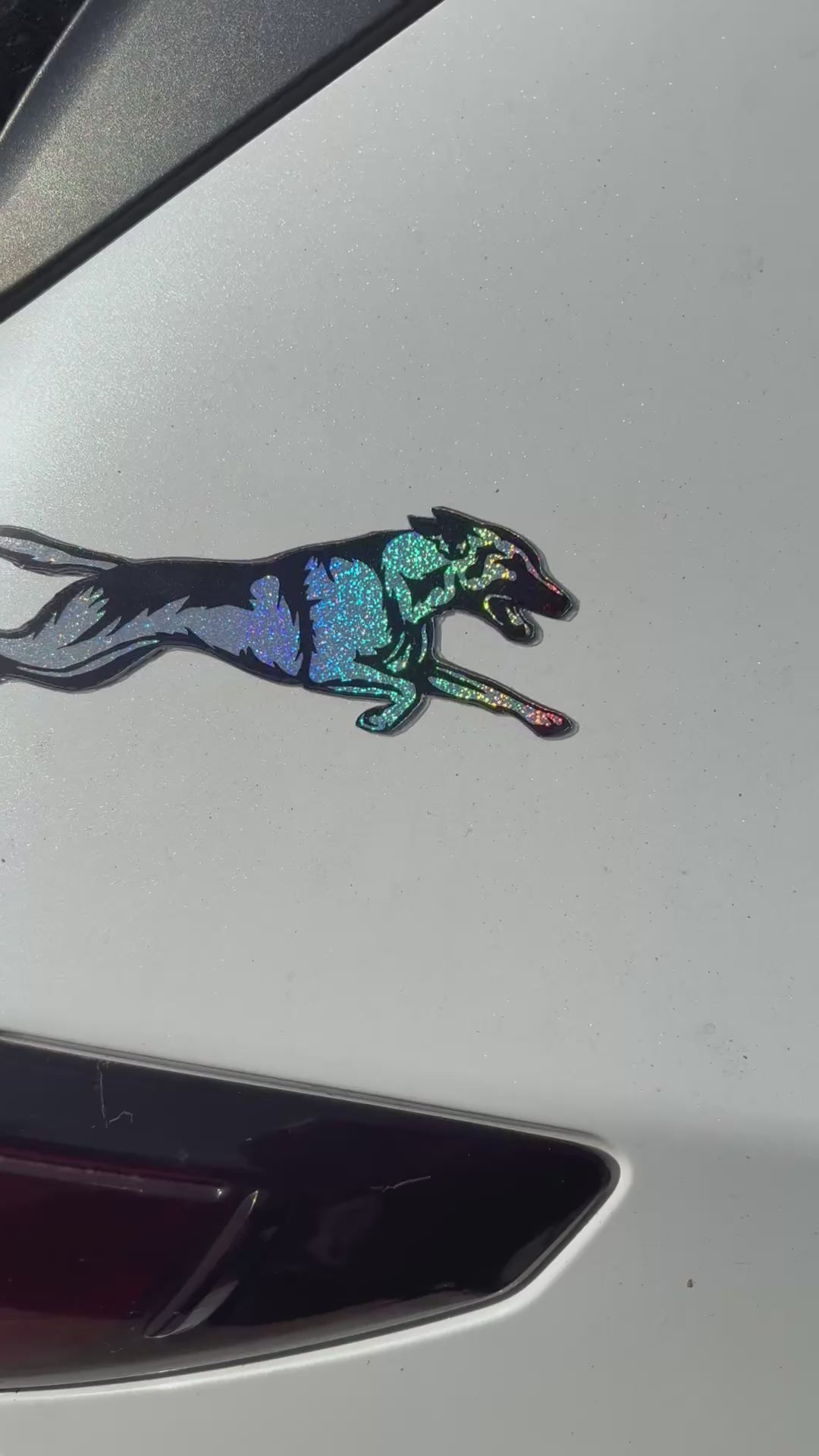 Belgian Malinois Glitter Magnet