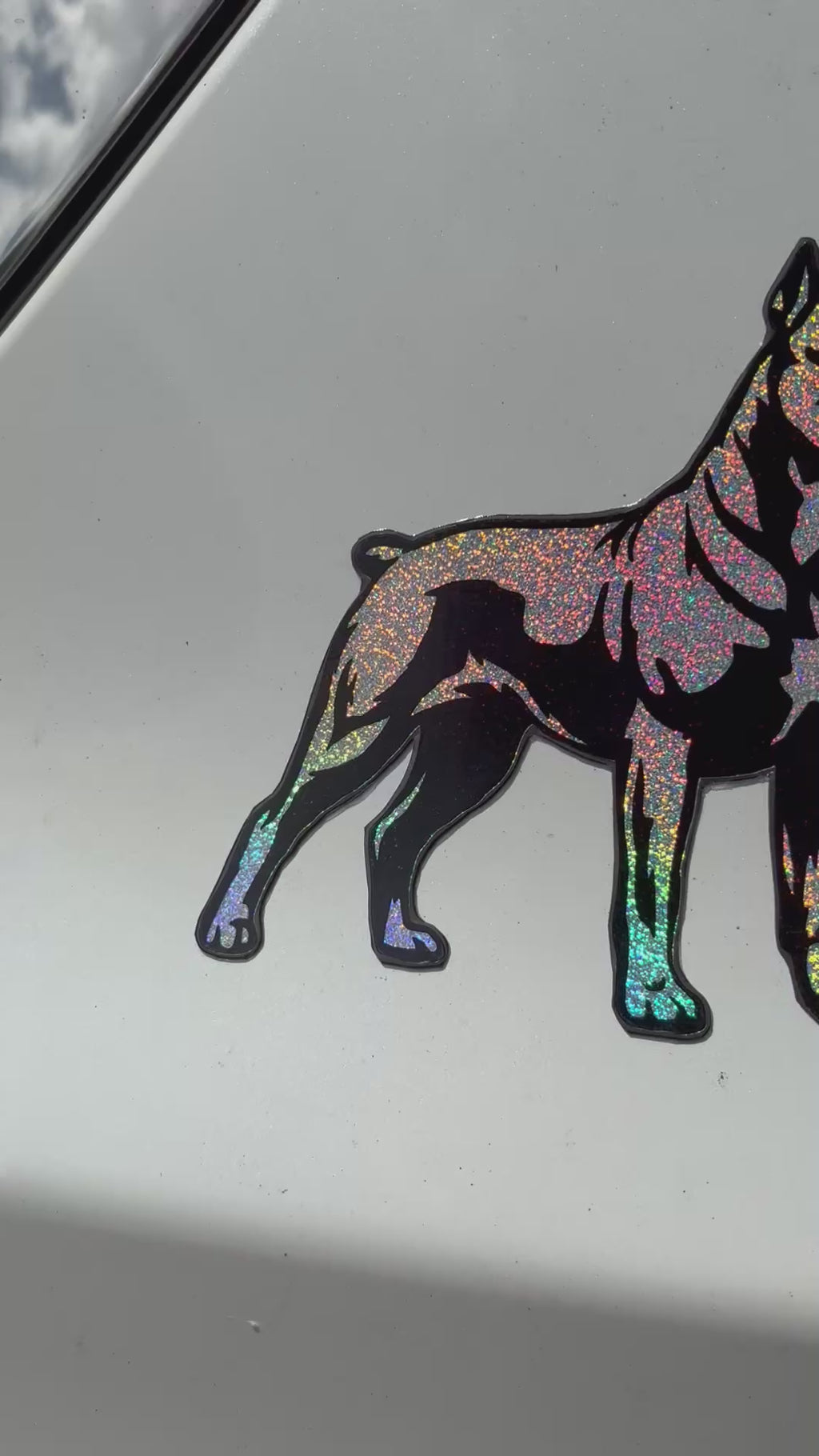 Cane Corso Magnet