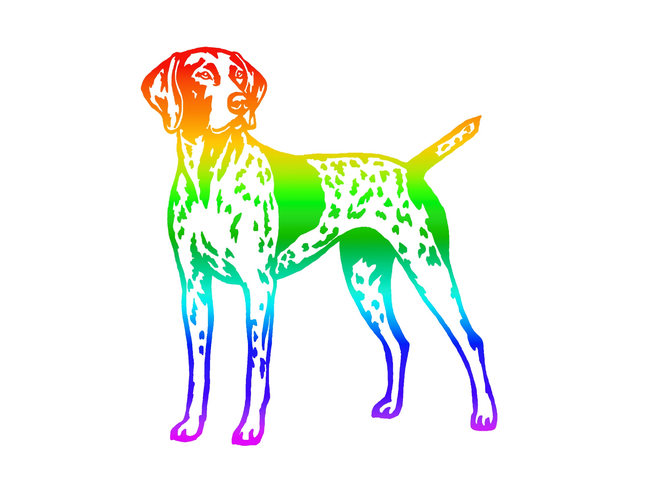 German Shorthaired Pointer Decal