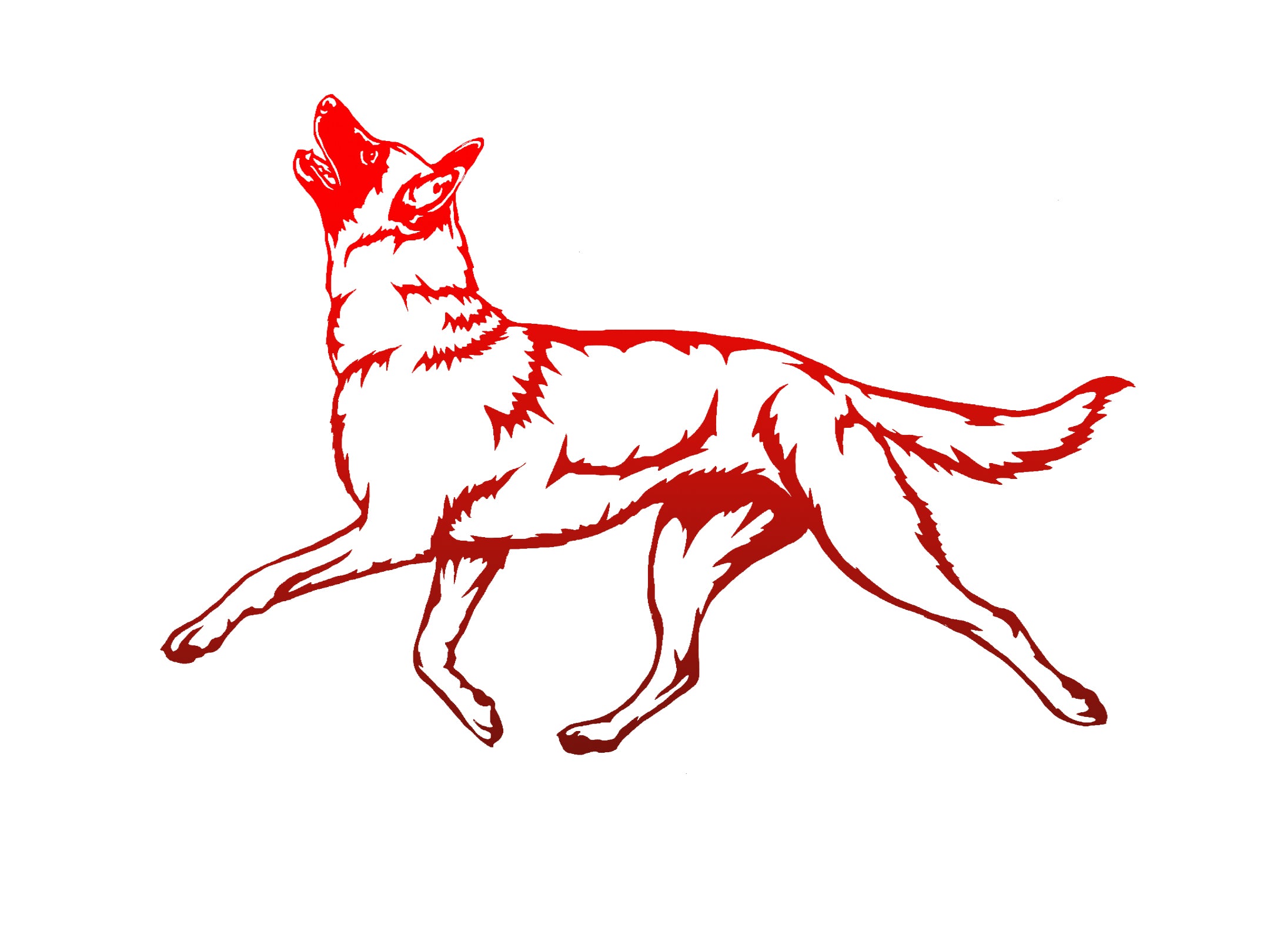 Herding Group