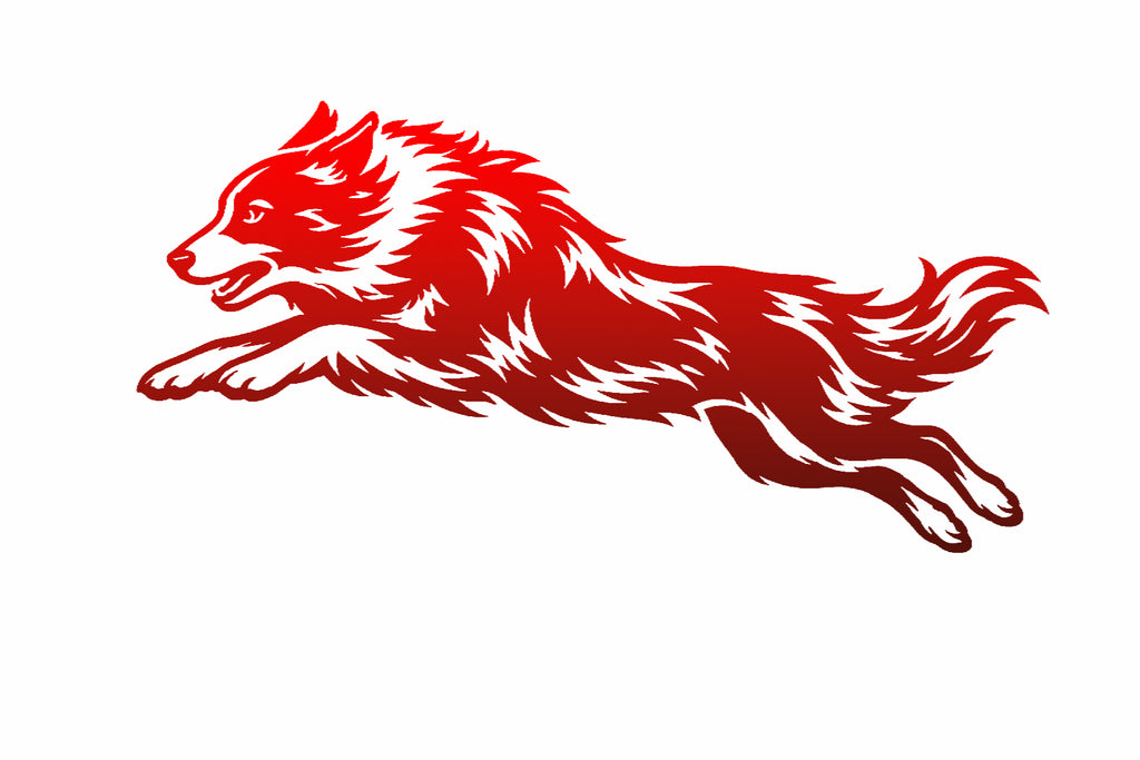 Border Collie Agility Decal