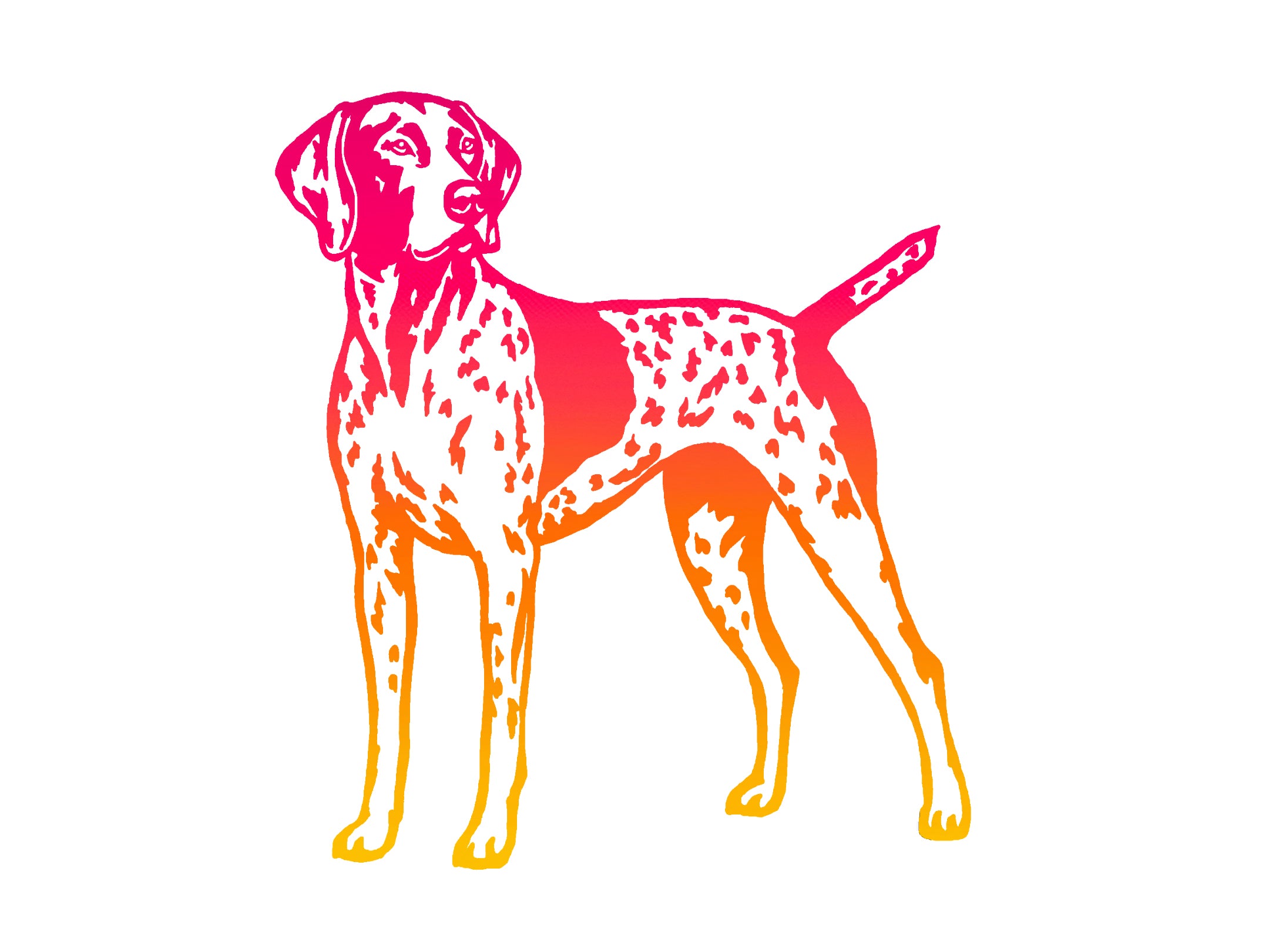 German Shorthaired Pointer Decal