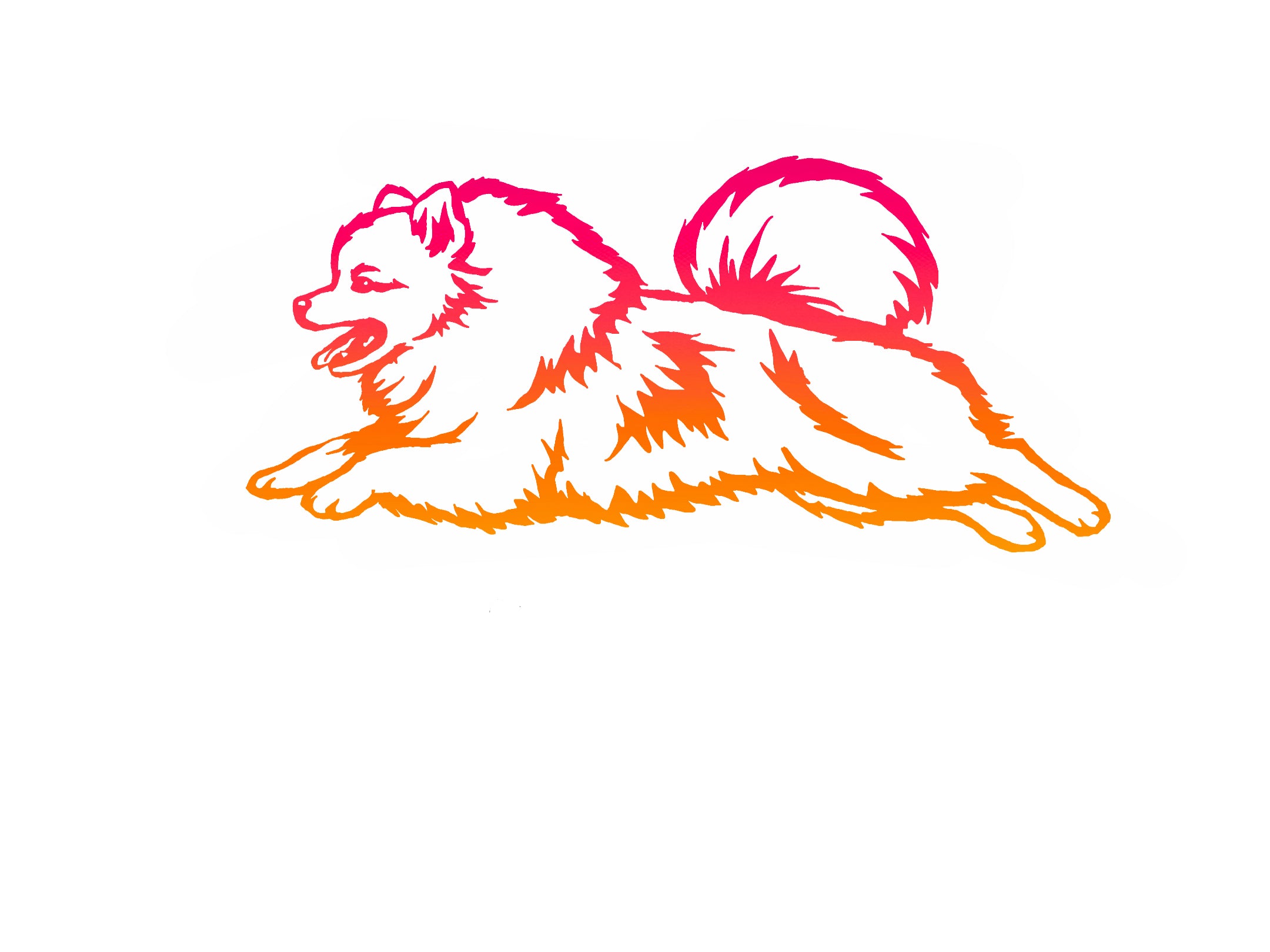 Pomeranian Agility Decal
