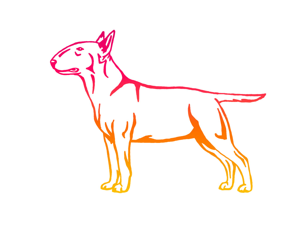Bull Terrier Decal
