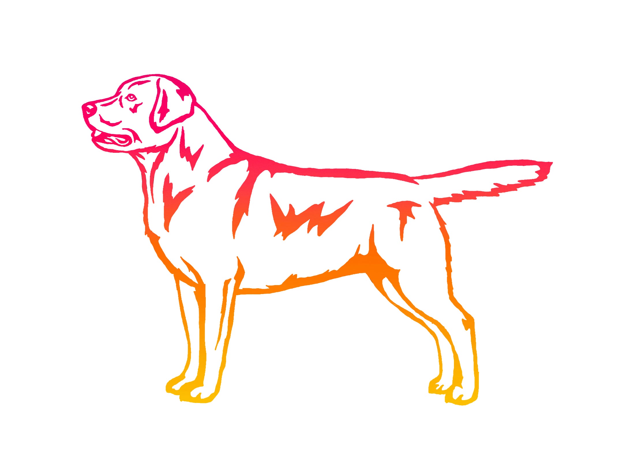 Labrador Retriever Decal