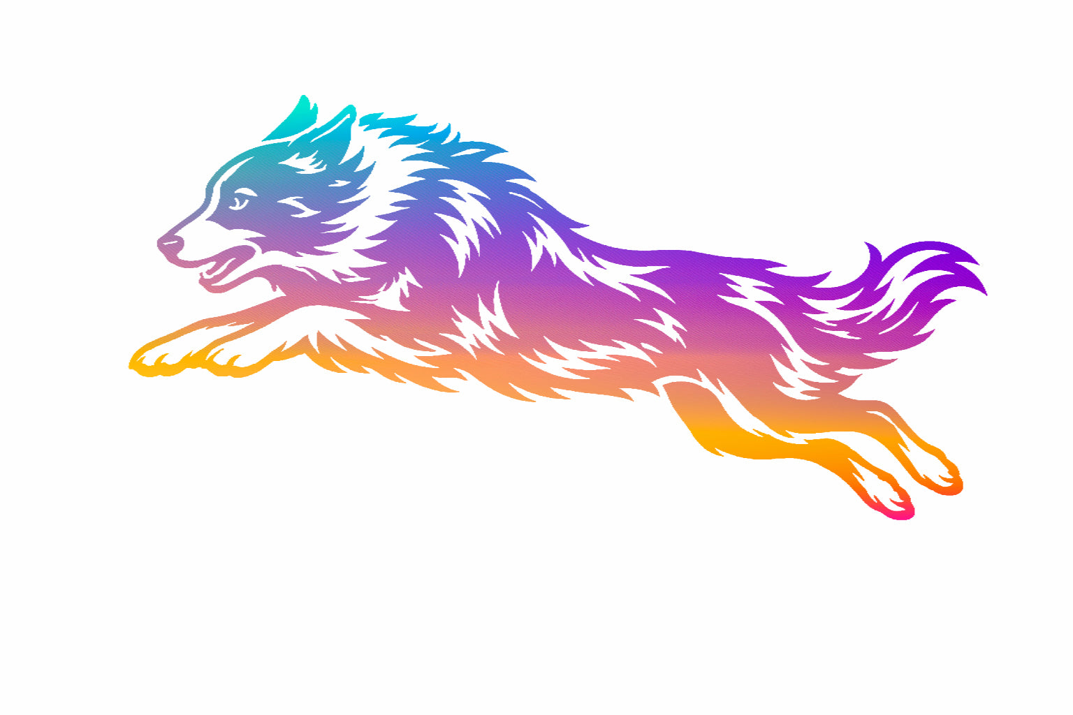 Border Collie Agility Decal